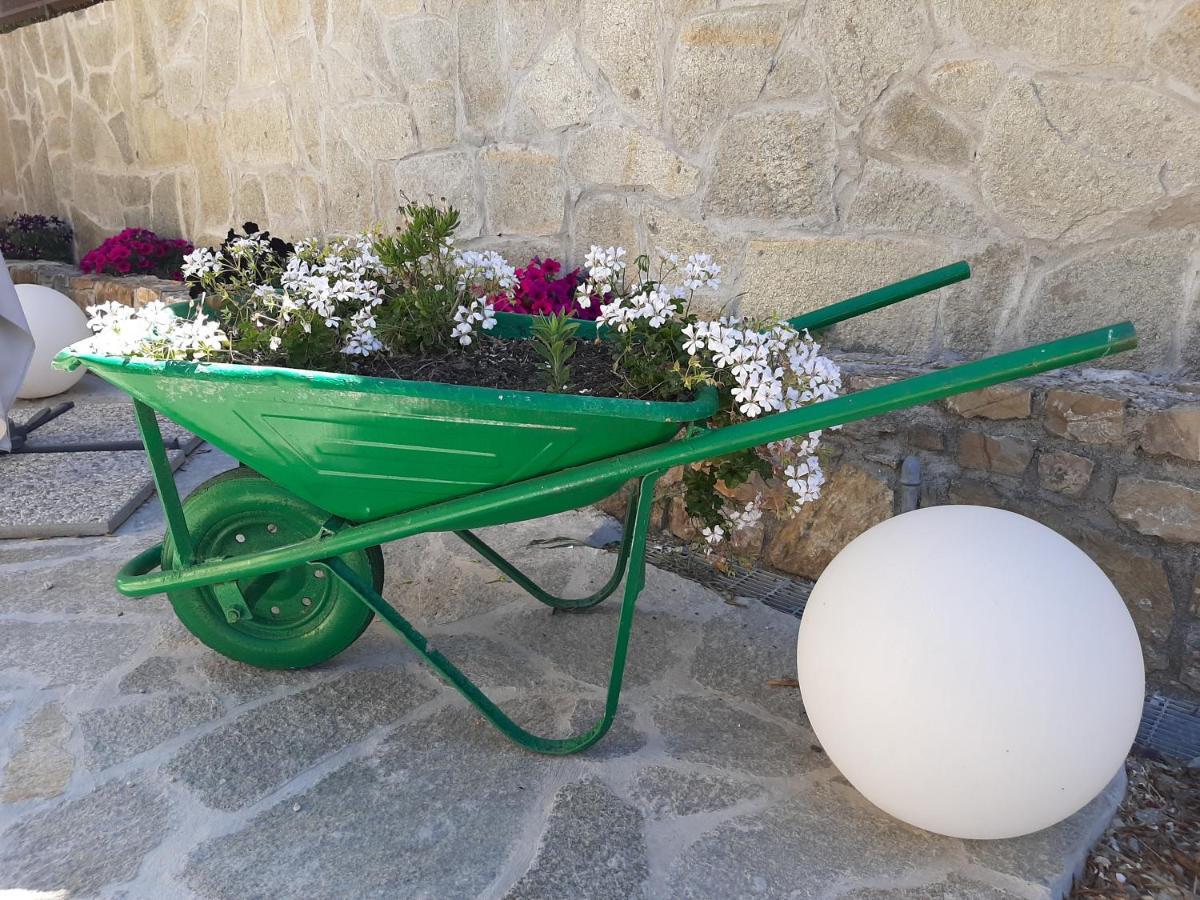 Appartamento Casa Federica Ventimiglia Esterno foto
